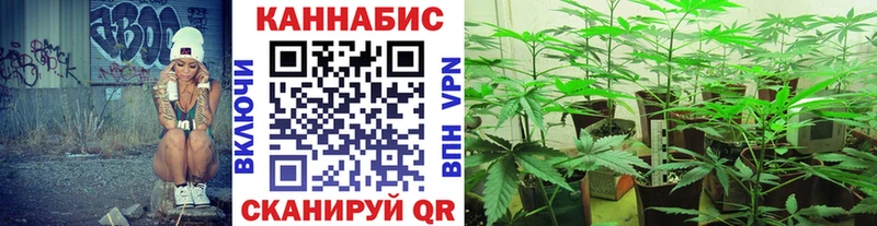 Марихуана план  наркошоп  omg как войти  Сафоново 